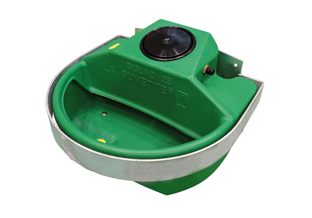 BIGLAC 25