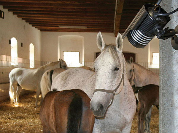 Stallbedarf
